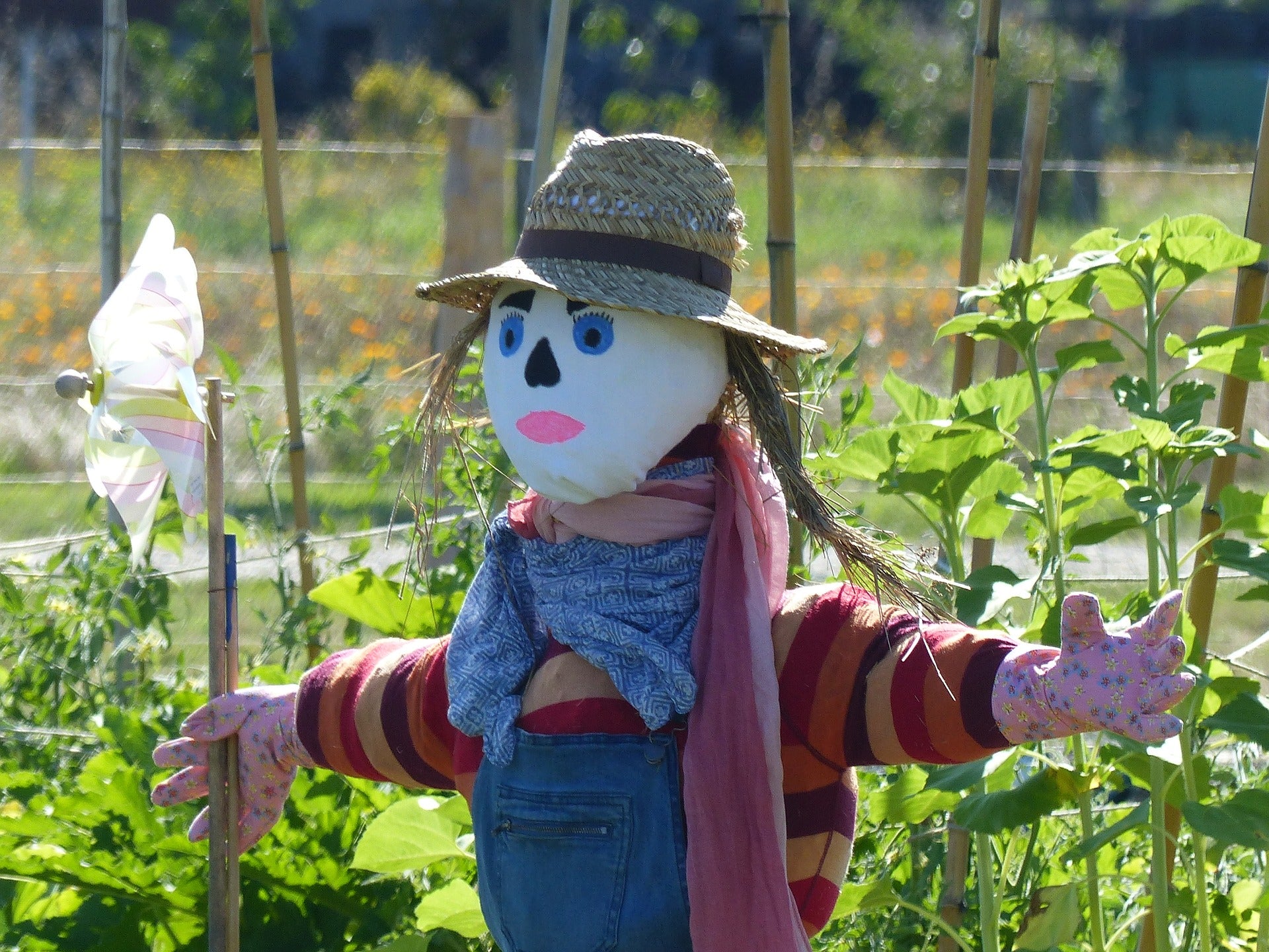 How to Make a Scarecrow