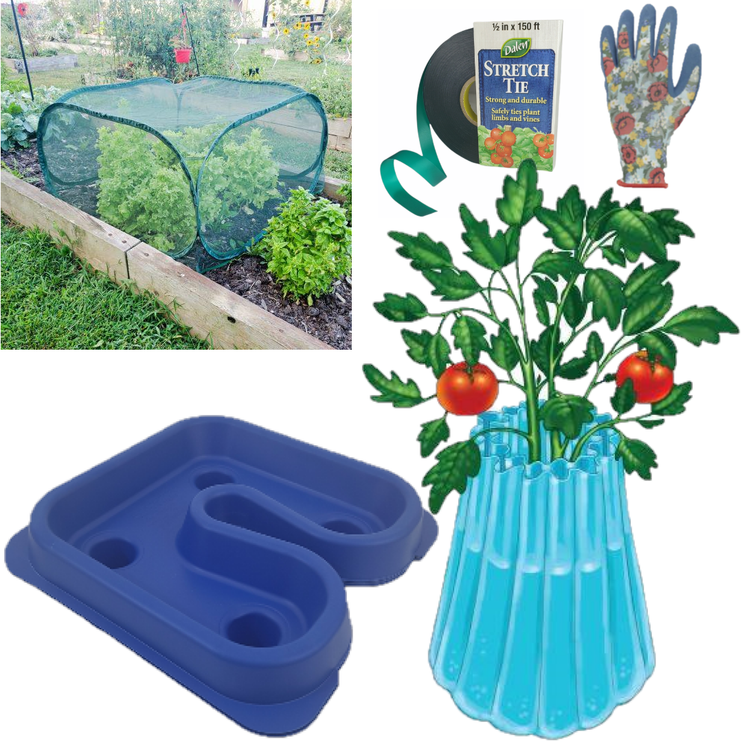 spring starter bundle for beginner garden