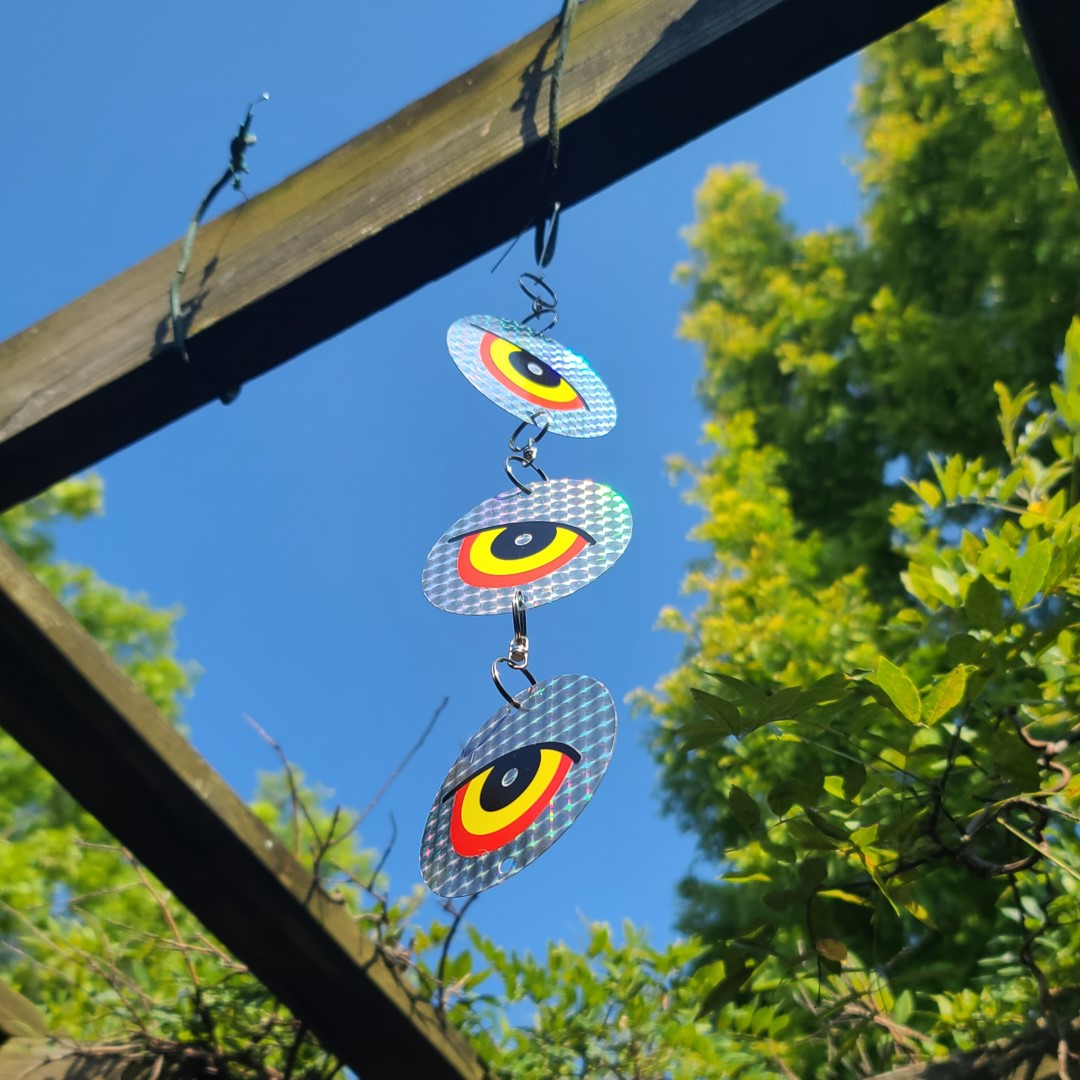 stop birds from nesting on porches patios and balconies