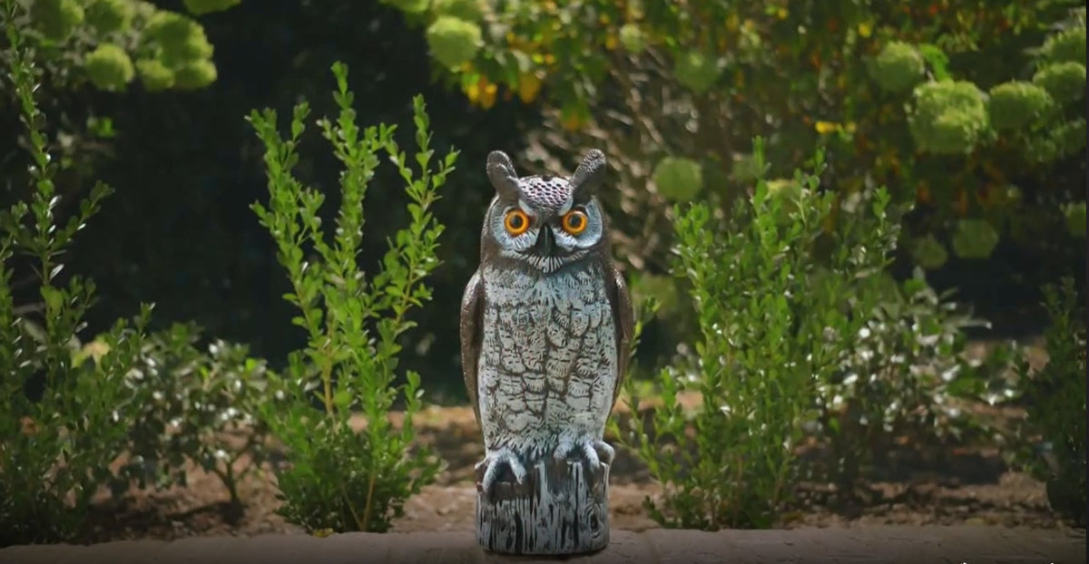 Natural Enemy Scarecrow Great Horned Owl - Deter Birds &amp; More