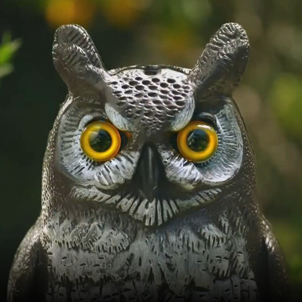 Natural Enemy Scarecrow Great Horned Owl - Deter Birds &amp; More