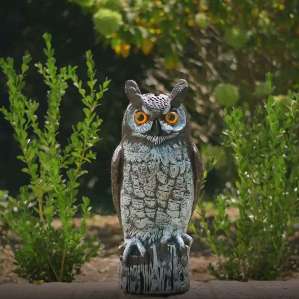 Natural Enemy Scarecrow Great Horned Owl - Deter Birds &amp; More