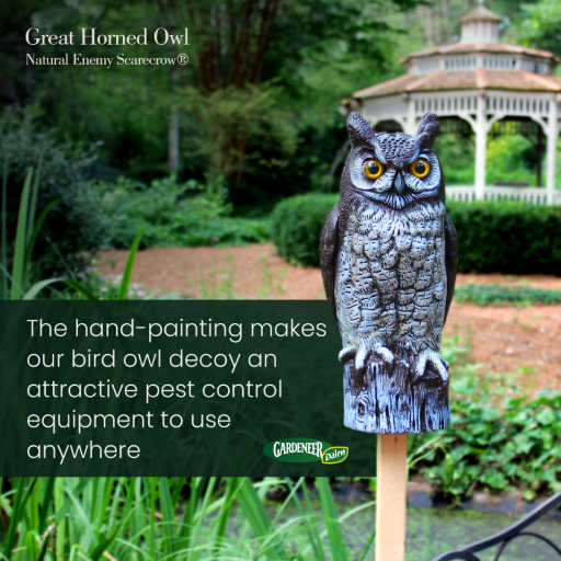 Natural Enemy Scarecrow Great Horned Owl - Deter Birds &amp; More