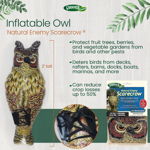 Natural Enemy Scarecrow® Inflatable Owl