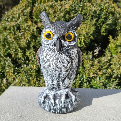 Baby Scarecrow Owl - Great Horned Owlet